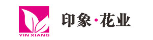 印象·花业